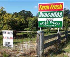 The Avocado Farm - Mackay Tourism 3