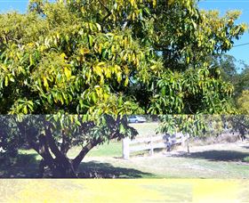 The Avocado Farm - Mackay Tourism 2