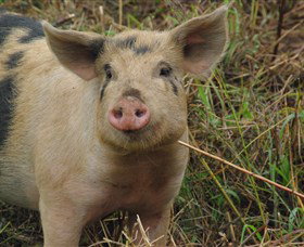 Bent On Food Cookery School - Mackay Tourism 5