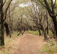 Pretty Beach to Snapper Point walking track - Mackay Tourism
