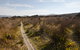 Murramarang Aboriginal Area Walking Track - thumb 2