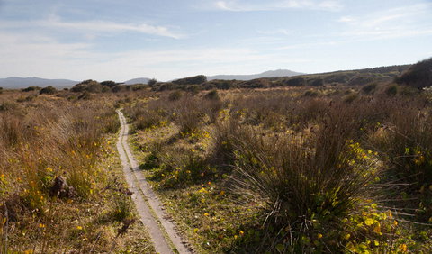 Murramarang Aboriginal Area Walking Track - Mackay Tourism 2