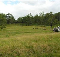 Numinbah Valley Adventure Trails - Mackay Tourism
