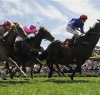Moruya Racecourse - Mackay Tourism