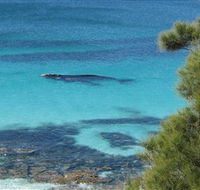 Jervis Bay Marine Park - Mackay Tourism