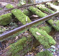 Wootton Historical Railway Walk - Mackay Tourism