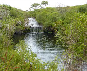 Booderee National Park: Green Patch And Telegraph Creek Walking Tracks - Mackay Tourism 0