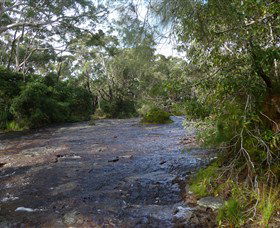 Booderee National Park: Green Patch And Telegraph Creek Walking Tracks - Mackay Tourism 1