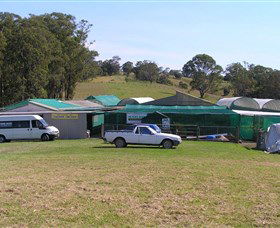 Tinonee NSW Mackay Tourism