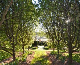 All Saints Garden - Mackay Tourism 4
