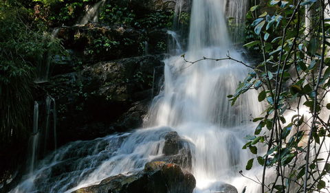 Bangalore Falls Walking Track - Mackay Tourism 3