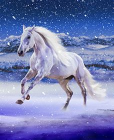 Australian Outback Spectacular: High Country Legends - Mackay Tourism 1