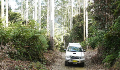 Bindarri National Park - Mackay Tourism 2