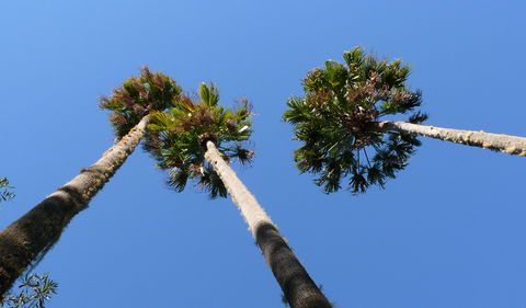Bindarri National Park - Mackay Tourism 0