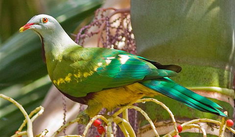 Bindarri National Park - Mackay Tourism 3