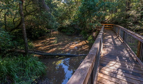 Ms Kellys Walking Track - Mackay Tourism 0