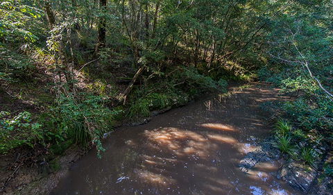 Ms Kellys Walking Track - Mackay Tourism 2