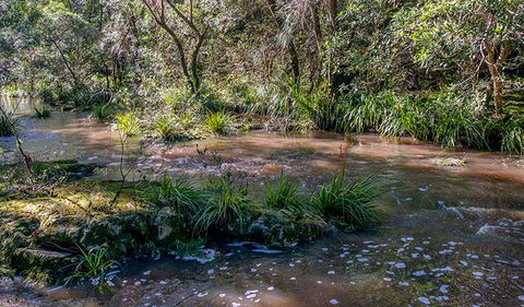 Ms Kellys Walking Track - Mackay Tourism 3