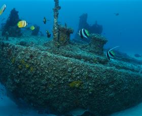 Curtain Artificial Reef Dive Site - Mackay Tourism 1