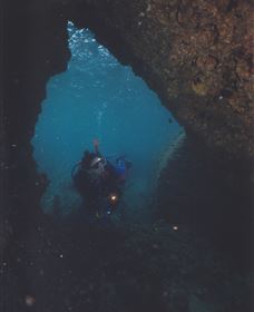 Tangalooma Wrecks Dive Site - Mackay Tourism 1