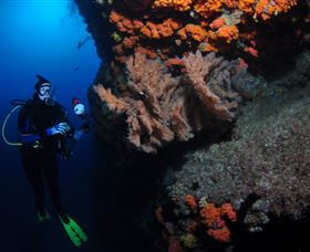 Gotham City Dive Site - Mackay Tourism 0