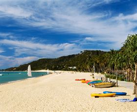 Tangalooma Dolphin Feeding - Mackay Tourism 2