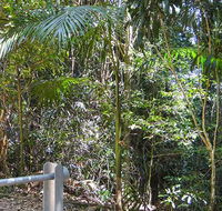 Goorgana walking track - Mackay Tourism