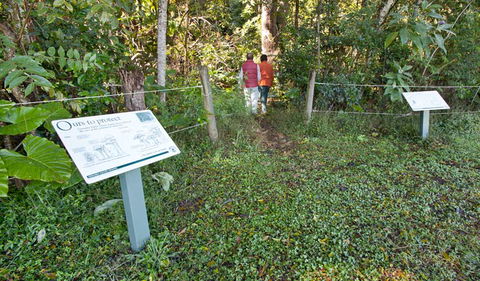 Rainforest Walk - Mackay Tourism 0