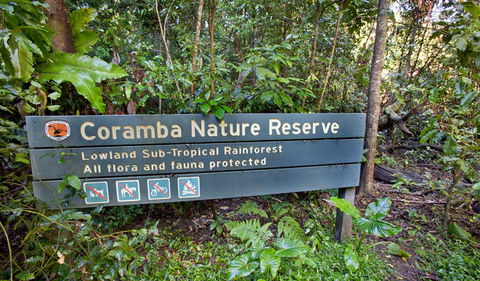 Rainforest Walk - Mackay Tourism 1
