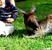 Bunbury Wildlife Park - Mackay Tourism