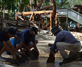 Cedar Creek Goldfield - Mackay Tourism 2