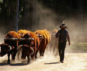Timbertown Heritage Theme Park - Mackay Tourism 1