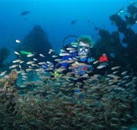Aarhus Dive Site - Mackay Tourism