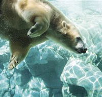 Australia's Sea World - Mackay Tourism