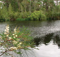 Wallingat National Park - Mackay Tourism