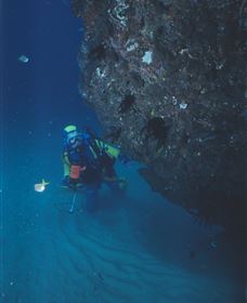 Scottish Prince Dive Site - Mackay Tourism 1
