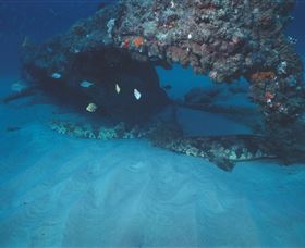 Scottish Prince Dive Site - Mackay Tourism 3