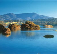 Wagonga Picnic Area - Mackay Tourism