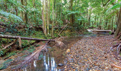 Ulidarra National Park - Mackay Tourism 0