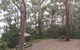 Orara East State Forest - thumb 2