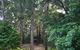 Orara East State Forest - thumb 1