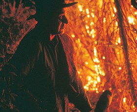 The Shed Gallery - Mackay Tourism 0