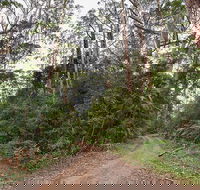 End Peak walking track - Mackay Tourism