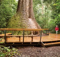 Burrawan State Forest - Mackay Tourism