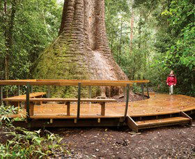 Burrawan State Forest - Mackay Tourism 0