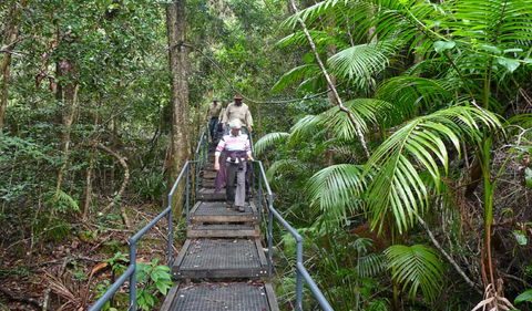 Falls Walking Track - Mackay Tourism 2