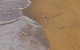 Scotts Head Beach - thumb 0