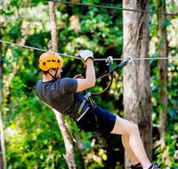 TreeTop Challenge Currumbin - Mackay Tourism
