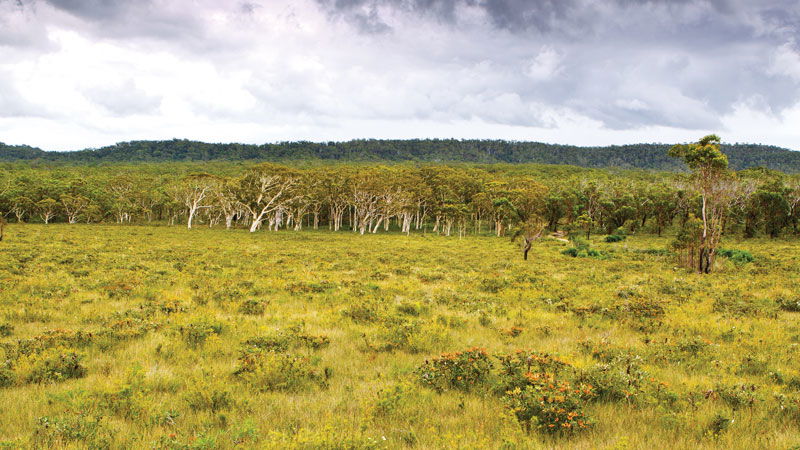Minnie Water NSW Mackay Tourism