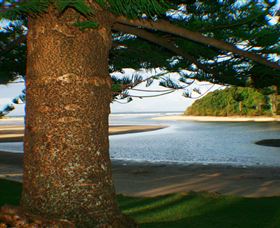 Moonee Beach - Mackay Tourism 1